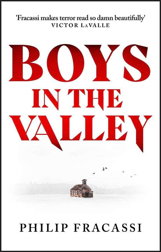 The front cover for Boys in the Valley. The cover is white with the title covering most of the page in big red capitals. Beneath the title is a small building with some birds flying overhead.