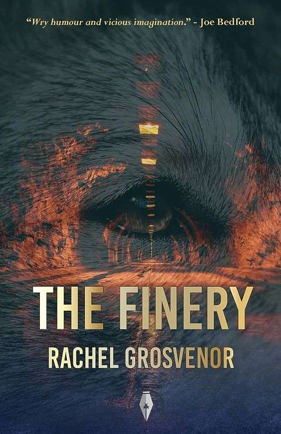 The front cover for The Finery by Rachel Grosvenor. The front cover shows a road under ground with lights in the ceiling. There is the image of a wolf's eye over the whole scene.