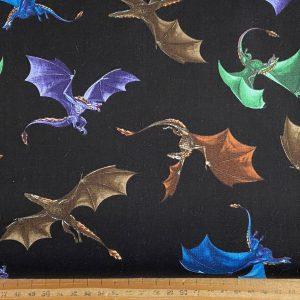 Dragons in Flight Book Sleeve