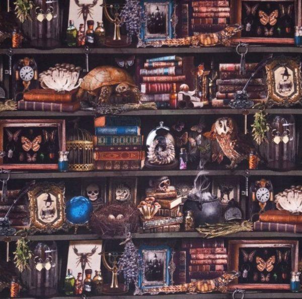 Witches Library Book Sleeve
