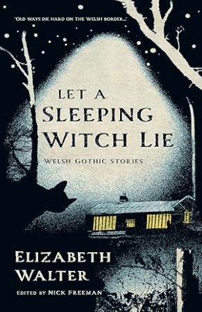 Let A Sleeping Witch Lie by Elizabeth Walter