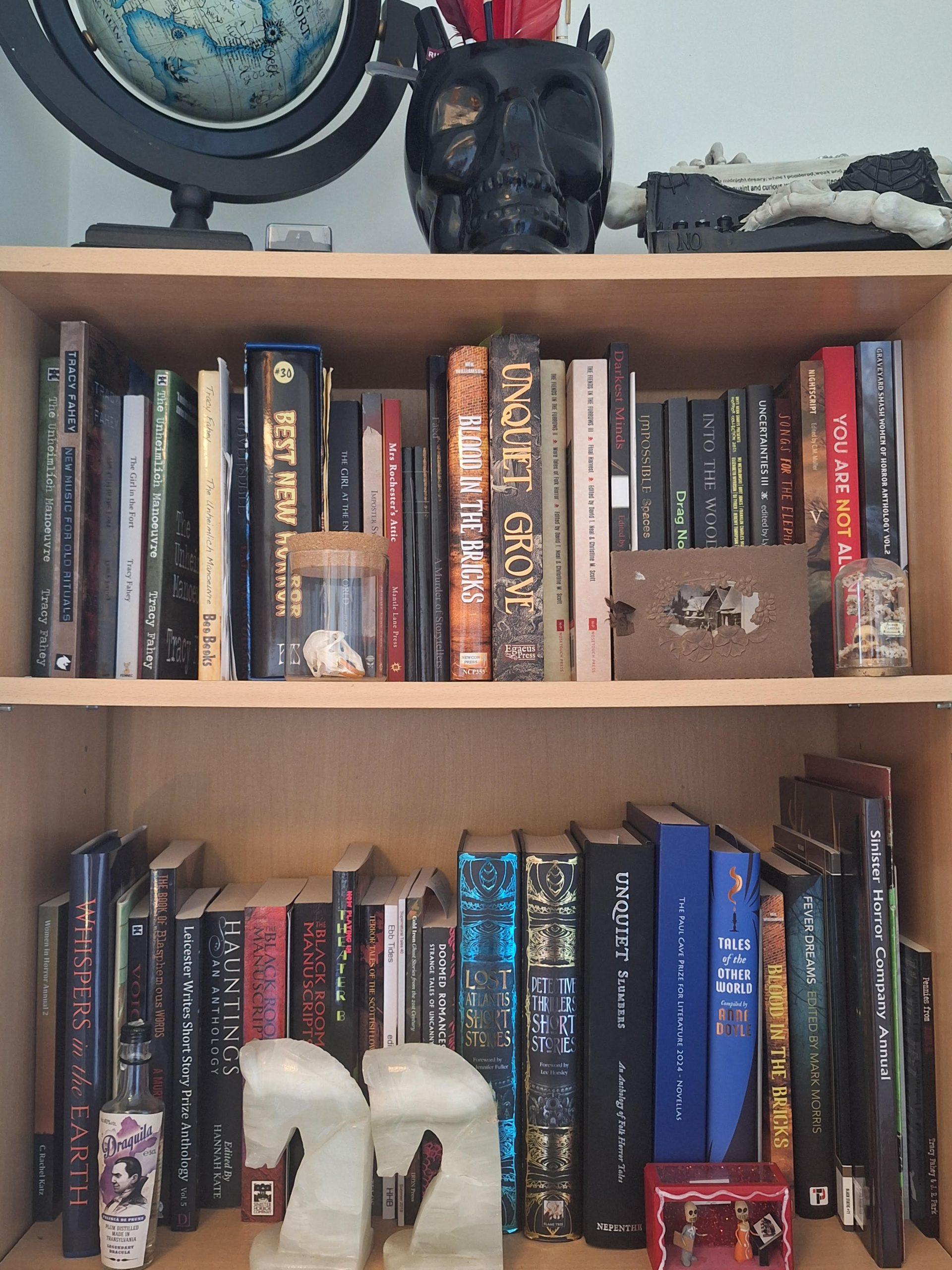 An image of Tracy Fahey's book shelves
