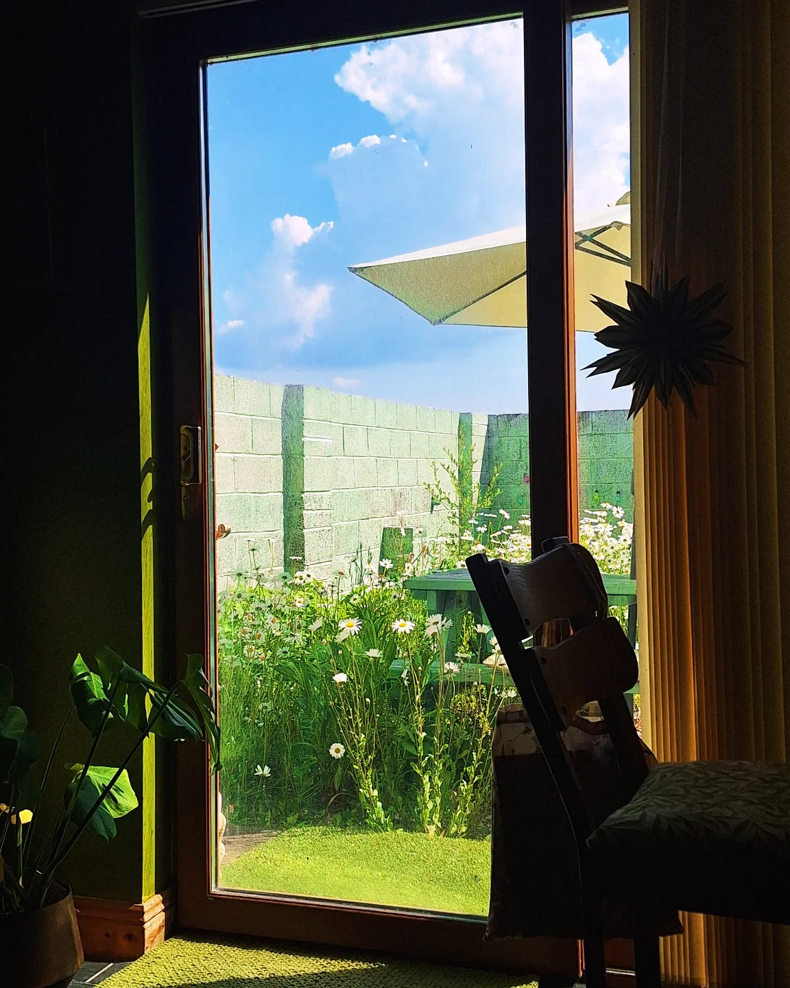 Tracy Fahey's view from her desk: a blue sky, and a small courtyard garden full of greenery