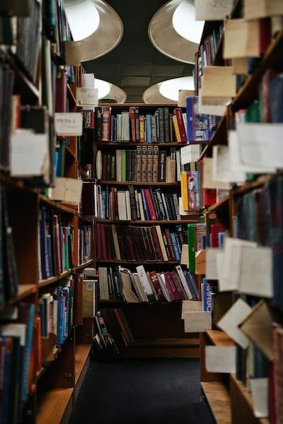 Books on shelves in a library, with categories visible