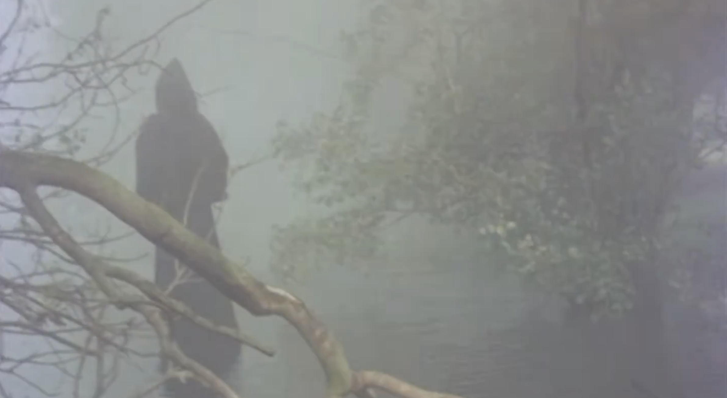 Screenshot of the "Lonely Water" public information figure showing a hooded and robed figure standing in the water, surround by mist