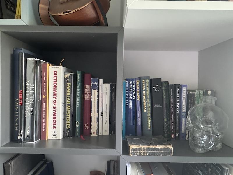 A book shelf with books and a glass skull