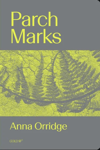 The cover of the book Parch Marks by Anna Orridge