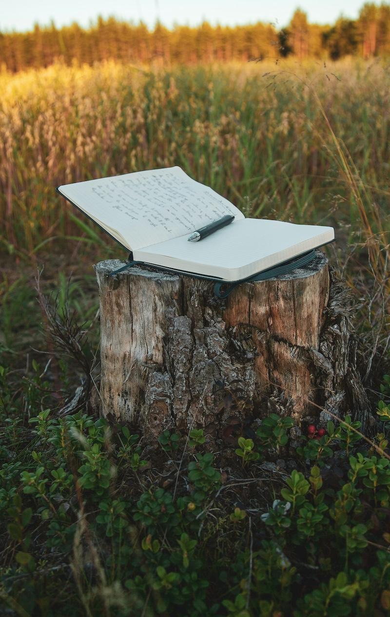 A notebook and pen sit on top of a tree stump in a field