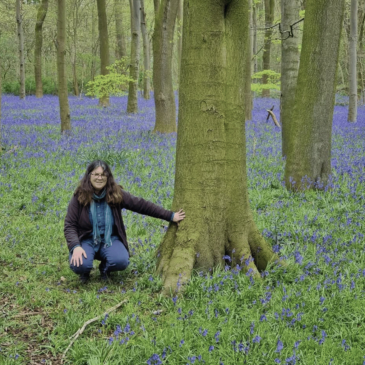 Suzanne Owen with trees and bluebells