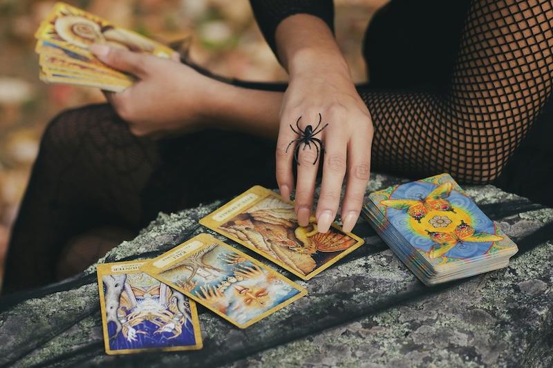 A person in black fishnet and lace clothing and a spider ring sits in the autumnal outdoors playing with tarot cards